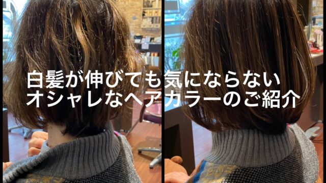 白髪が伸びても気にならない白髪染めをしてみませんか 千葉県茂原市の美容室hair Spaceg O D Hair Space G O Dの美髪に導くヘアケアブログ
