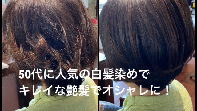 千葉県茂原市の美容室hair Space G O D 50代のオシャレな白髪染めでキレイな艶髪に Hair Space G O Dの美髪に導くヘアケアブログ